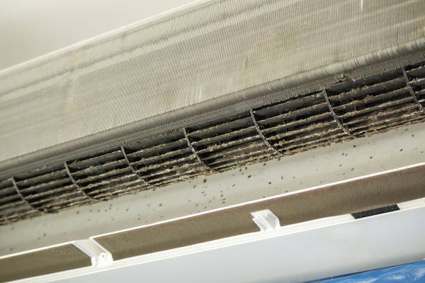Best Professional Duct Cleaning Services  in Chelsea, OK